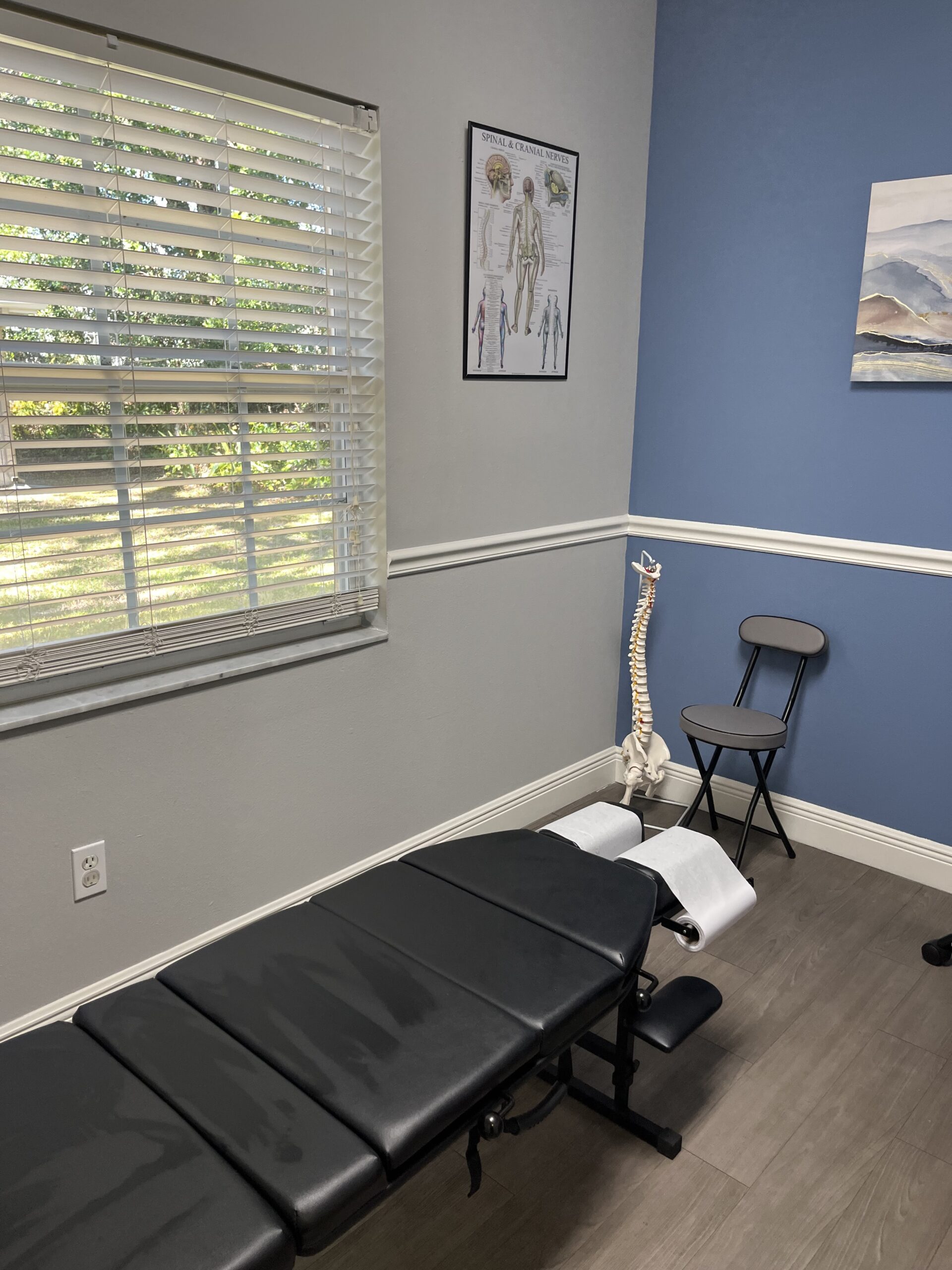 chiropractic office tampa fl